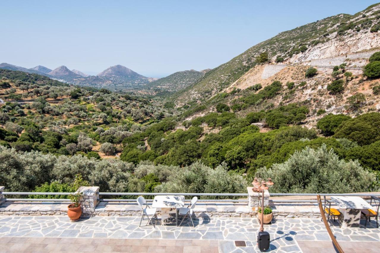 Elaiolithos - Luxury Villa Suites - Adults Only Khalkíon Buitenkant foto