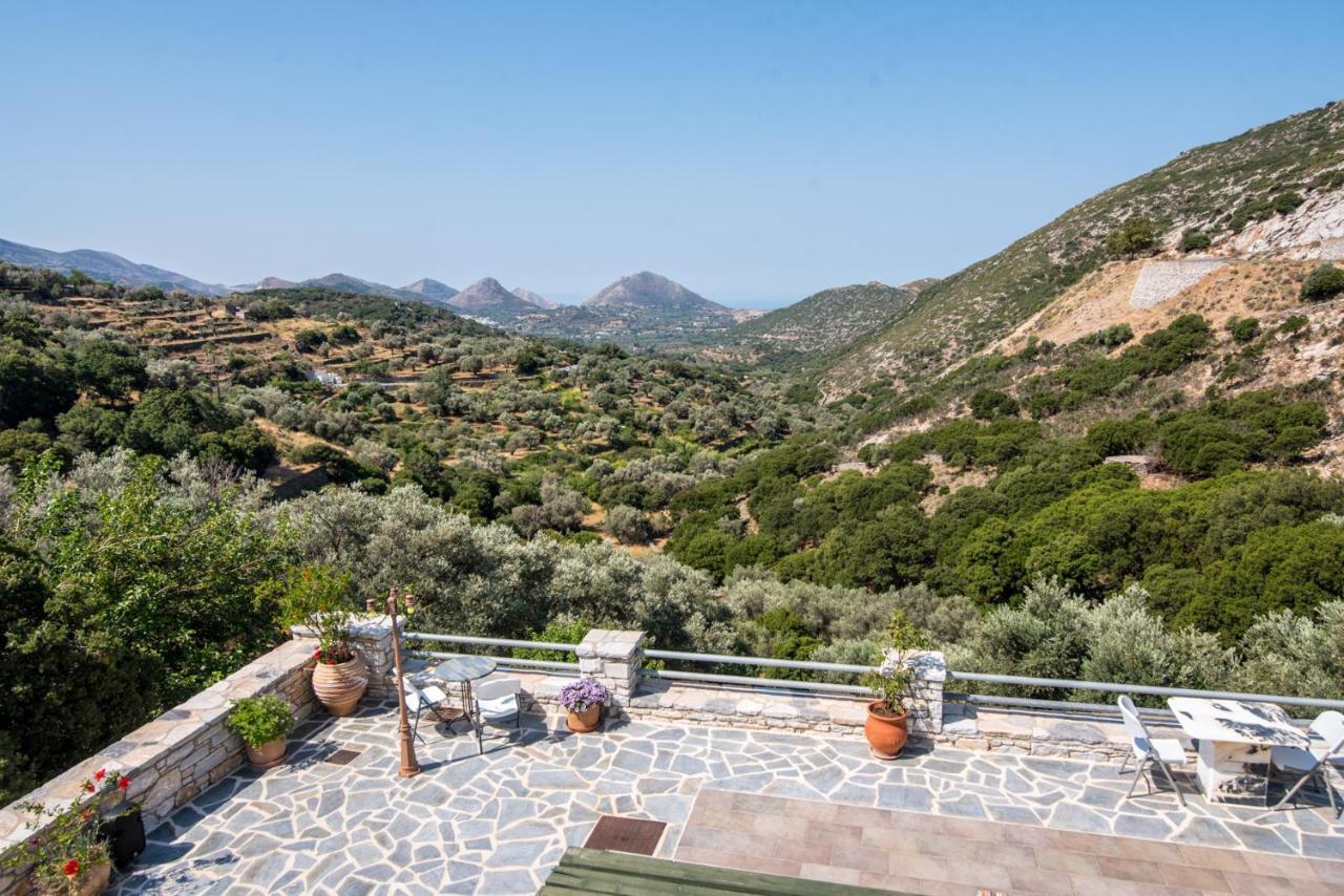 Elaiolithos - Luxury Villa Suites - Adults Only Khalkíon Buitenkant foto