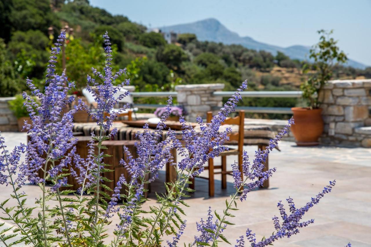 Elaiolithos - Luxury Villa Suites - Adults Only Khalkíon Buitenkant foto