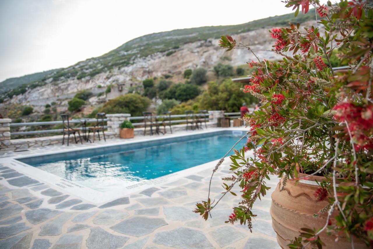 Elaiolithos - Luxury Villa Suites - Adults Only Khalkíon Buitenkant foto